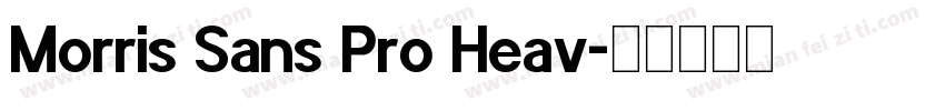 Morris Sans Pro Heav字体转换